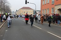 Bild: N&auml;rrinnen und Narren zogen durch Sondershausen (1)