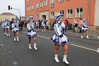 Bild: N&auml;rrinnen und Narren zogen durch Sondershausen (1)