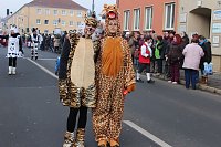 Bild: N&auml;rrinnen und Narren zogen durch Sondershausen (1)