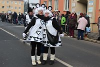 Bild: N&auml;rrinnen und Narren zogen durch Sondershausen (1)