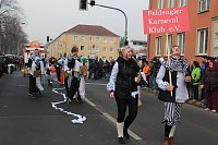 Bild: N&auml;rrinnen und Narren zogen durch Sondershausen (1)