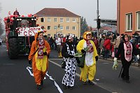 Bild: N&auml;rrinnen und Narren zogen durch Sondershausen (1)