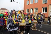 Bild: N&auml;rrinnen und Narren zogen durch Sondershausen (1)