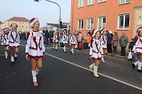Bild: N&auml;rrinnen und Narren zogen durch Sondershausen (2)