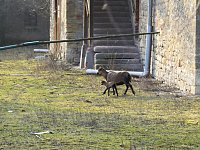 Bild: Schloss bei Beyernaumburg