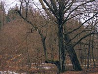 Rund um Friedrichsbrunn Bild: Rund um Friedrichsbrunn