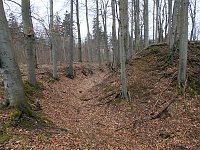 Rund um Friedrichsbrunn Bild: Rund um Friedrichsbrunn