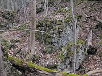 Rund um Friedrichsbrunn Bild: Rund um Friedrichsbrunn