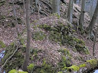 Rund um Friedrichsbrunn Bild: Rund um Friedrichsbrunn
