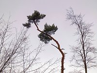 Rund um Friedrichsbrunn Bild: Rund um Friedrichsbrunn