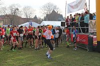 Bild: Marathonl&auml;ufer unterwegs
