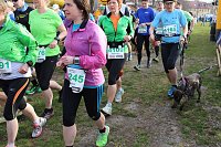 Bild: Marathonl&auml;ufer unterwegs