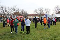 Bild: Marathonl&auml;ufer unterwegs