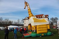 Bild: Marathonl&auml;ufer unterwegs