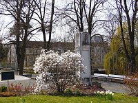 Bild: Saisoner&ouml;ffnung im Sangerh&auml;user Rosarium