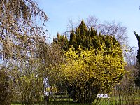 Bild: Saisoner&ouml;ffnung im Sangerh&auml;user Rosarium