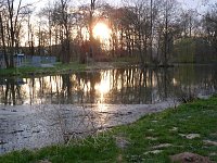 Bild: "Untergang" im Park