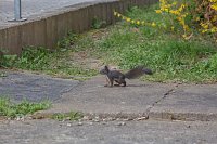 Bild: Tierische Mitbewohner