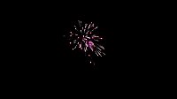 Bild: Feuerwerk &uuml;ber Nordhausen