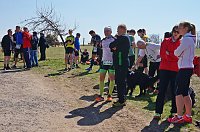 Bild: 2. Harztorlauf