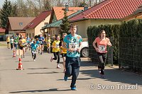 Bild: Voller Erfolg - 2. Harztor-Lauf