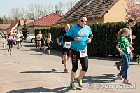 Bild: Voller Erfolg - 2. Harztor-Lauf