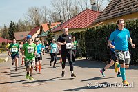 Bild: Voller Erfolg - 2. Harztor-Lauf