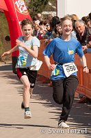 Bild: Voller Erfolg - 2. Harztor-Lauf