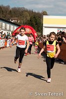 Bild: Voller Erfolg - 2. Harztor-Lauf