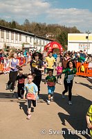 Bild: Voller Erfolg - 2. Harztor-Lauf