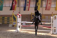 Bild: 5. Hoffest und Reitturnier in Wollersleben