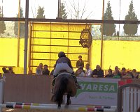 Bild: 5. Hoffest und Reitturnier in Wollersleben