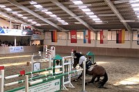 Bild: 5. Hoffest und Reitturnier in Wollersleben