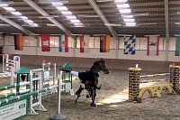 Bild: 5. Hoffest und Reitturnier in Wollersleben