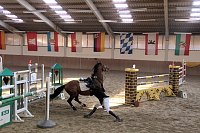 Bild: 5. Hoffest und Reitturnier in Wollersleben