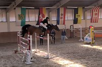 Bild: 5. Hoffest und Reitturnier in Wollersleben