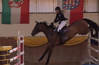 Bild: 5. Hoffest und Reitturnier in Wollersleben