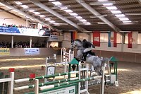 Bild: 5. Hoffest und Reitturnier in Wollersleben