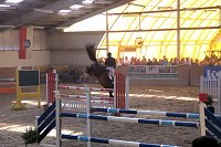 Bild: 5. Hoffest und Reitturnier in Wollersleben