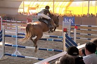 Bild: 5. Hoffest und Reitturnier in Wollersleben