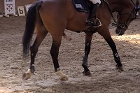 Bild: 5. Hoffest und Reitturnier in Wollersleben