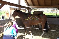 Bild: 5. Hoffest und Reitturnier in Wollersleben