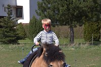 Bild: 5. Hoffest und Reitturnier in Wollersleben