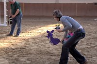 Bild: 5. Hoffest und Reitturnier in Wollersleben