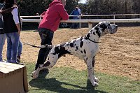 Bild: 5. Hoffest und Reitturnier in Wollersleben