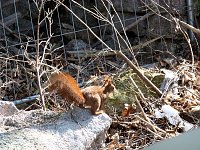 Bild: Auf Erkundung an der Stadtmauer