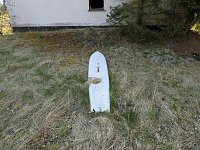 Bild: Der Treue Nachbarteich - die h&auml;ssliche Seite