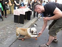 Bild: 1. Mai in Berlin Kreuzberg