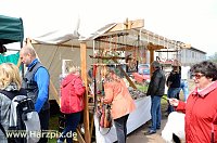 Bild: Fischfest