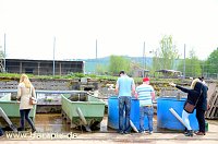 Bild: Fischfest